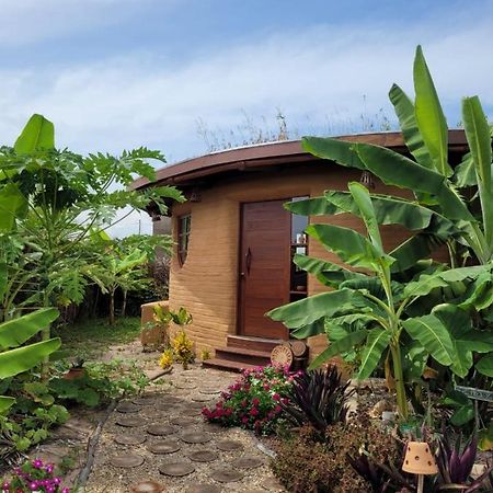 Eco Loft Maymuna: Seu Loft Ecologico Pertinho Da Praia Villa Pôrto de Pedras Eksteriør billede