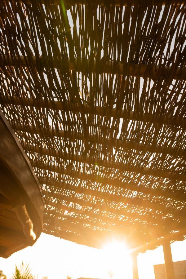 Eco Loft Maymuna: Seu Loft Ecologico Pertinho Da Praia Villa Pôrto de Pedras Eksteriør billede
