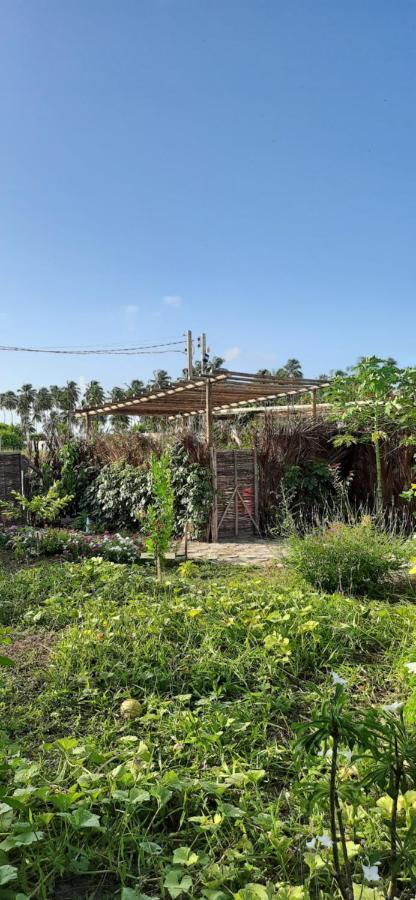 Eco Loft Maymuna: Seu Loft Ecologico Pertinho Da Praia Villa Pôrto de Pedras Eksteriør billede